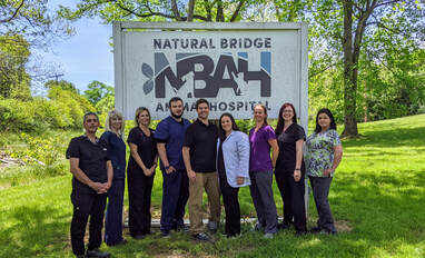Natural Bridge Animal Hospital